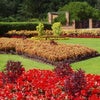 Photo 8: Darley Park