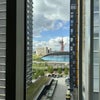 Photo 6: Window View
