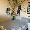 Photo 2: The room! 