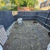Photo 9: Backyard 