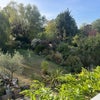 Photo 5: View from window
