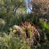 Photo 3: Garden