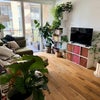 Photo 3: Living Room