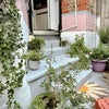 Photo 7: garden stairs