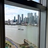 Photo 7: Room view