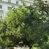 Photo 2: Resident Garden