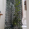 Photo 5: Bathroom 