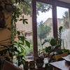 Photo 3: Kitchen