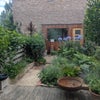 Photo 7: Garden