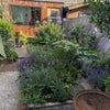 Photo 6: Garden