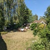 Photo 4: Garden 