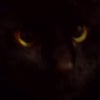 Sebastian-louis\'s picture