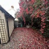 Photo 8: Tenant parking