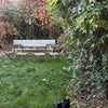 Photo 5: Garden! (sadly not our cat though)