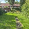Photo 9: Backyard 