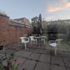 Photo 6: backyard