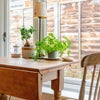 Photo 7: Breakfast table