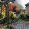 Photo 11: Established gardens