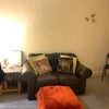 Photo 5: Living room