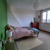 Photo 4: back bedroom