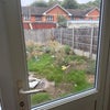Photo 7: Garden (still to be tidied)