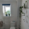 Photo 6: Bathroom with shower