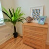 Photo 10: room 5