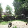 Photo 9: Garden 2