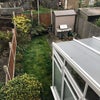 Photo 6: Garden 
