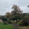 Photo 7: Communal garden