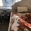 Photo 5: Large Double Room