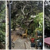 Photo 8: Garden