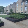 Photo 8: Communal Garden