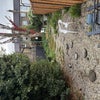 Photo 6: Garden