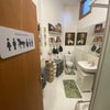 Photo 4: toilet