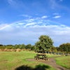 Photo 7: Reculver National Park 