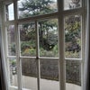 Photo 4: Bedroom window