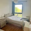 Photo 2: The room for rent