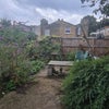 Photo 8: Garden