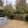 Photo 7: garden