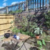 Photo 6: Yard