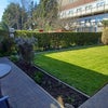 Photo 2: Garden