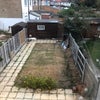 Photo 6: Garden