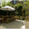 Photo 3: Garden