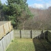 Photo 8: Back garden