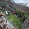 Photo 2: Garden