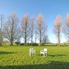 Photo 4: Back Garden
