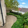 Photo 9: Garden