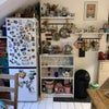 Photo 4: Fridge and shelves