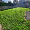 Photo 5: Communal Garden